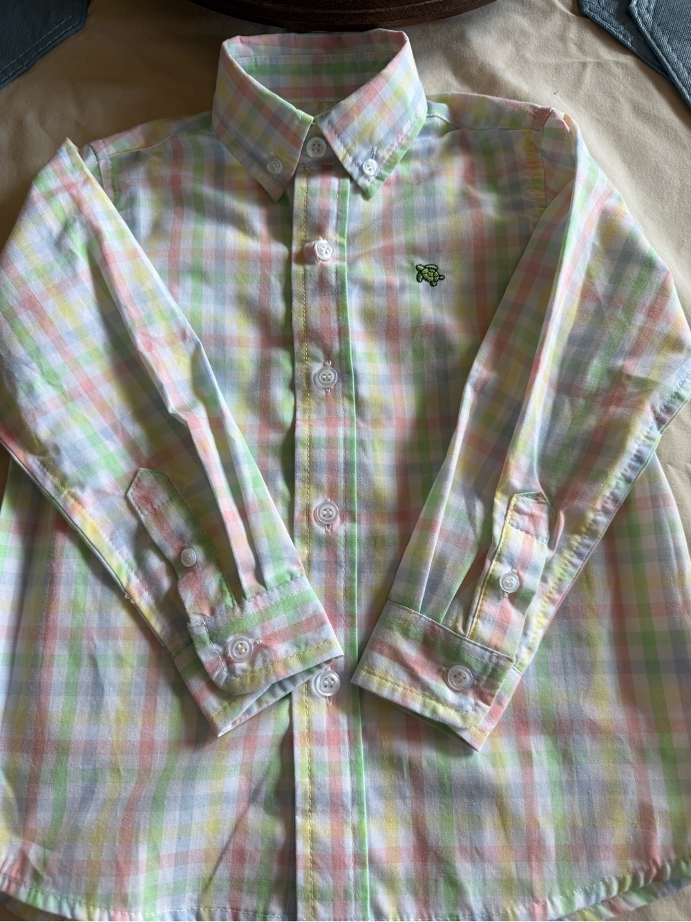 Boys Pastel Plaid Button-Down Shirt - Multicolor